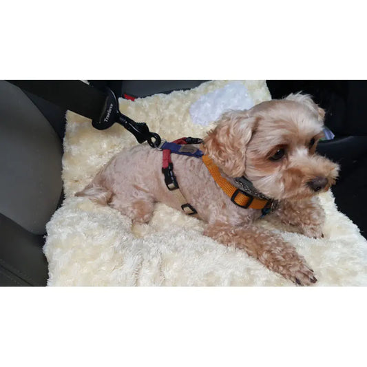 Cinturón de Seguridad para Perros - Accesorios de Viaje