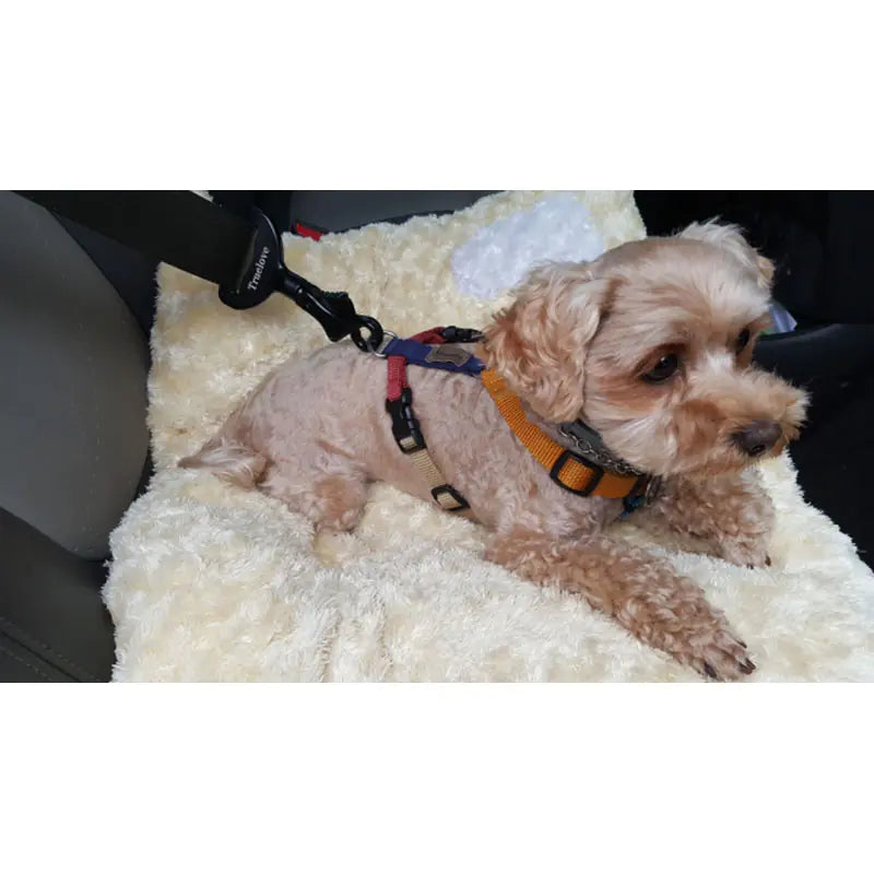 Cinturón de Seguridad para Perros - Accesorios de Viaje