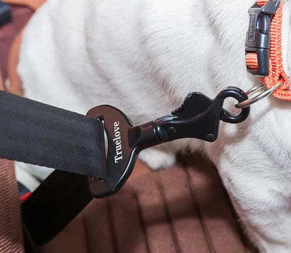 Cinturón de Seguridad para Perros - Accesorios de Viaje